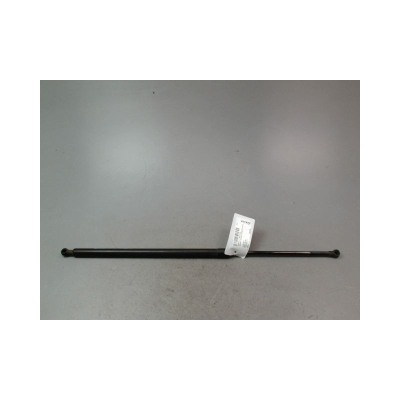VERIN HAYON G RENAULT GRAND SCENIC MONOSP. III Phase 2 LONG 2011-2013