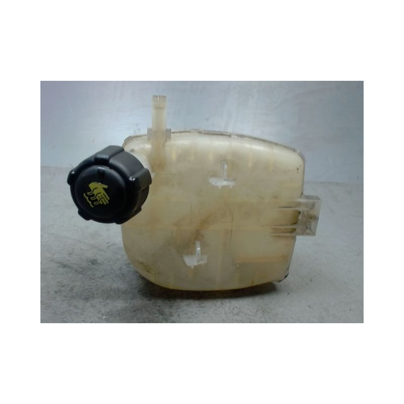 VASE EXPANSION RENAULT TWINGO II 2007-