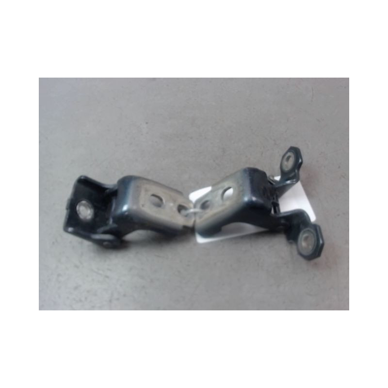 CHARNIÈRE PORTE AVG RENAULT CLIO IV Phase 1 2012-...