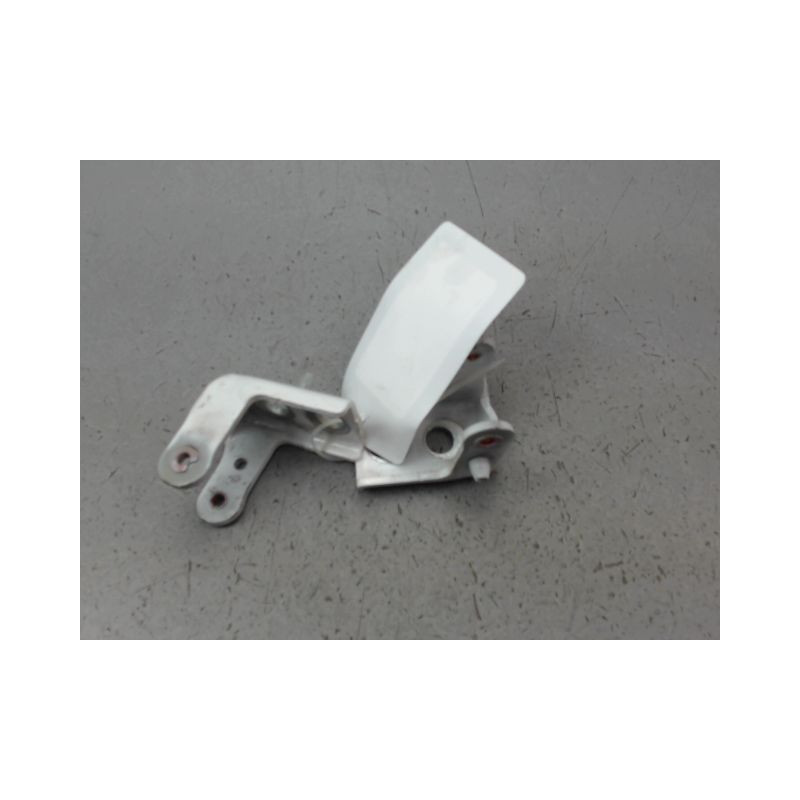 CHARNIÈRE PORTE ARG CITROEN C3 2009-