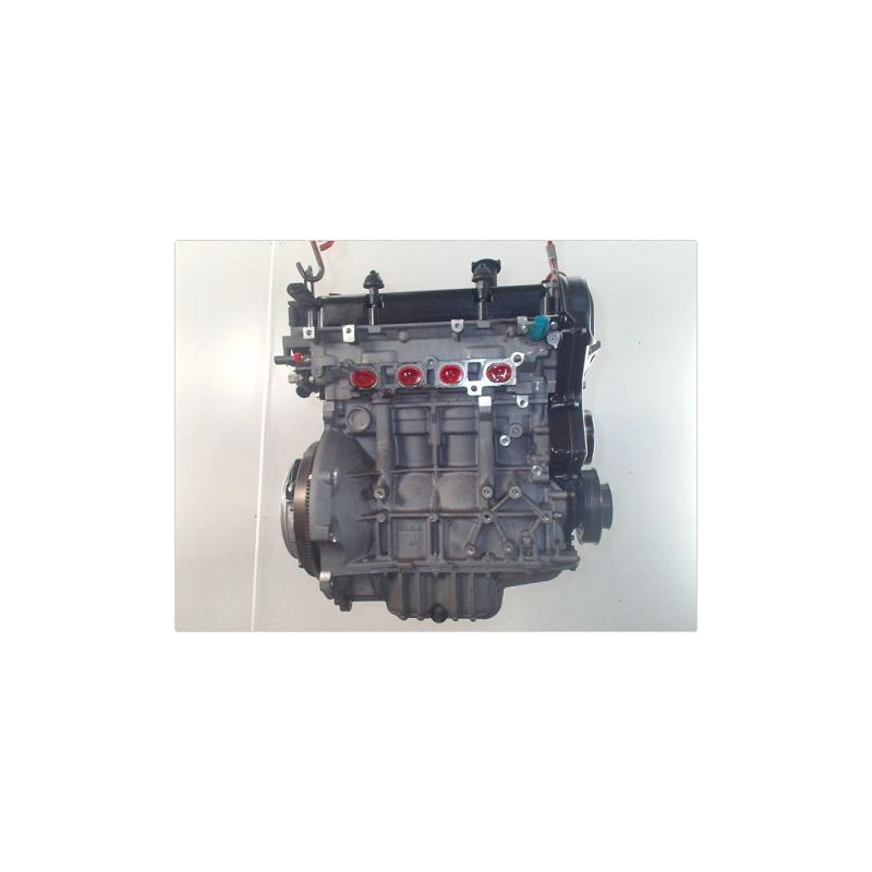 MOTEUR ESSENCE FORD FIESTA 1.25 16V