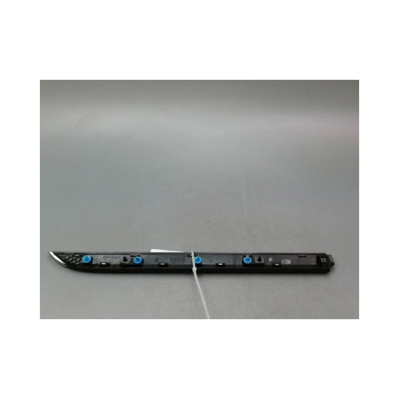 PROTECTION PORTE ARRIERE GAUCHE RENAULT CLIO