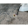 ANTENNE RADIO VOLKSWAGEN POLO 2009-