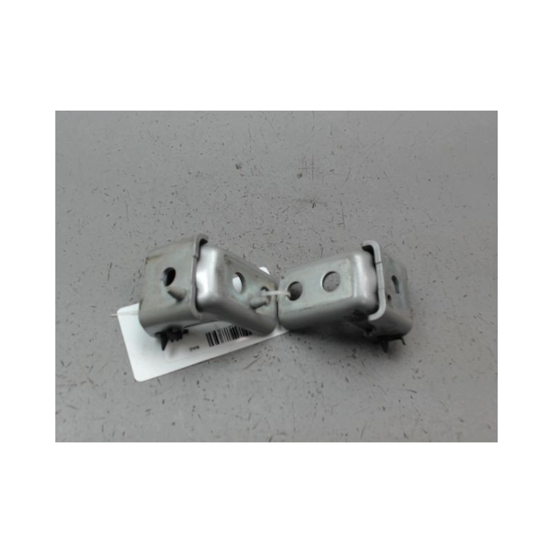 CHARNIÈRE PORTE ARG CITROEN C3 2009-