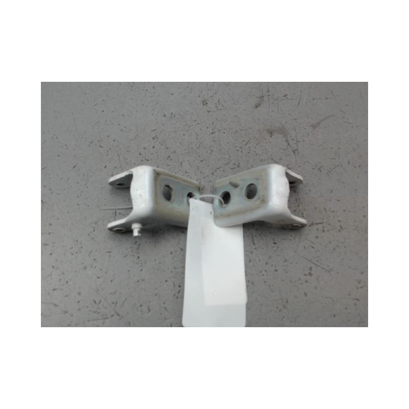 CHARNIÈRE PORTE AVG CITROEN C4 PICASSO MONOSP. 2007-...