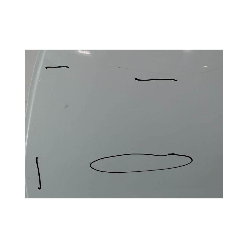 PORTE ARRIERE GAUCHE DACIA SANDERO 2008-