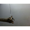 TRANSMISSION LONGITUDINALE B.M.W. SERIE 3 316 ti