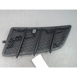 GRILLE CAPOT G