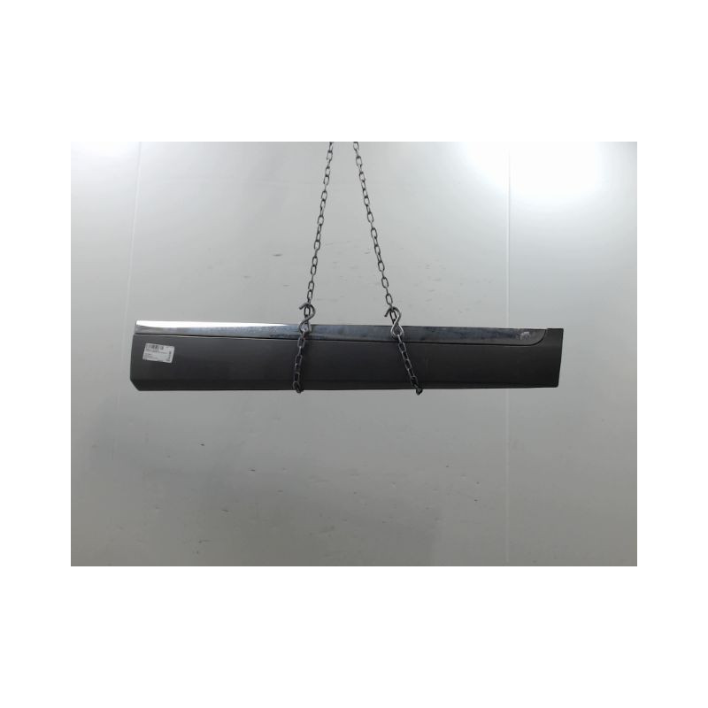 PROTECTION PORTE AVANT DROIT RENAULT SCENIC MONOSP. III Phase 3 2013-...