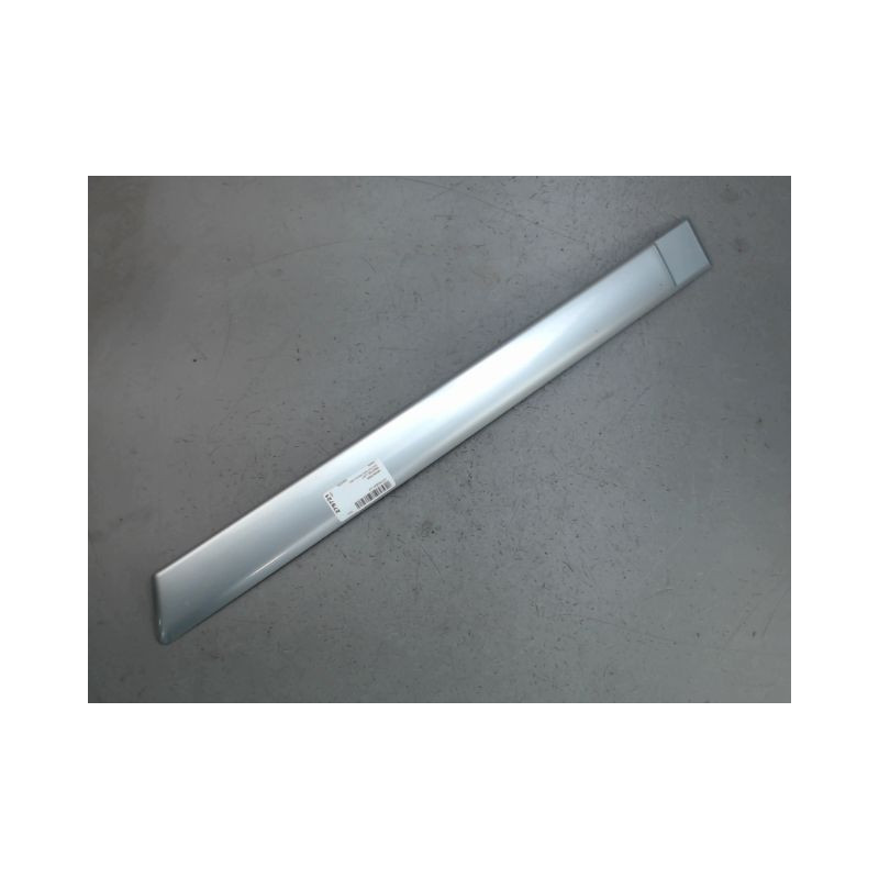 PROTECTION PORTE ARRIERE GAUCHE CITROEN C4