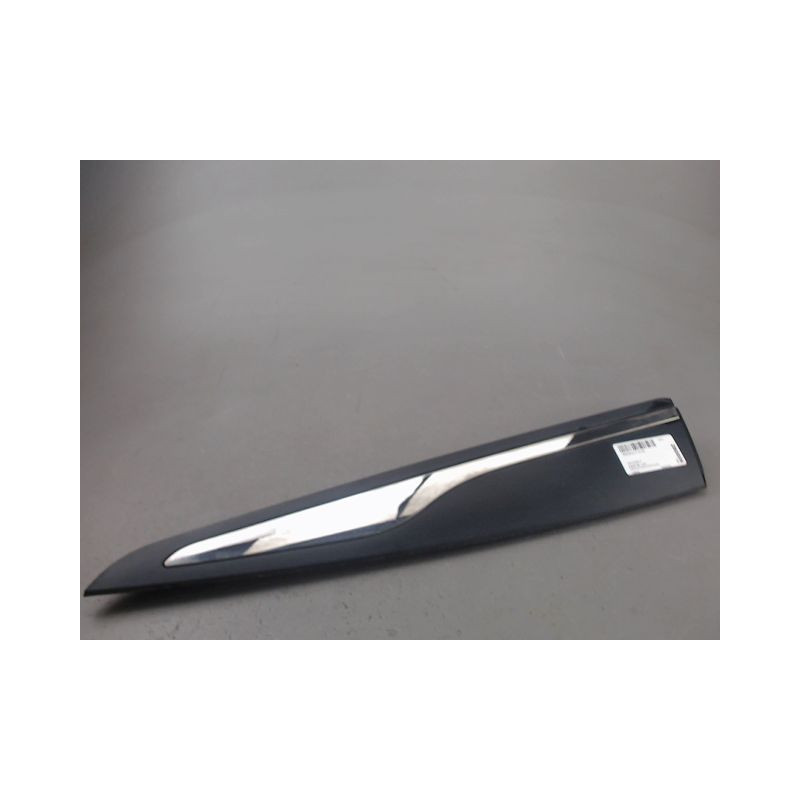 PROTECTION PORTE ARRIERE GAUCHE RENAULT CLIO