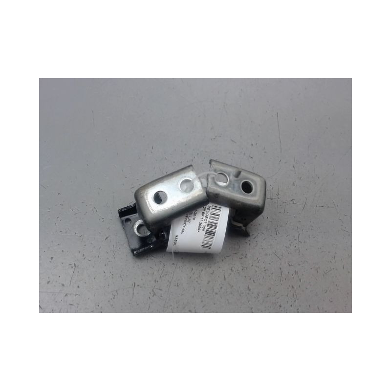 CHARNIÈRE PORTE ARG PEUGEOT 308 2009-