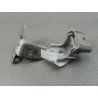 CHARNIÈRE PORTE AVG RENAULT CLIO IV Phase 1 2012-...