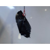 PARE-BOUE ARRIERE DROIT DACIA SANDERO 2008-