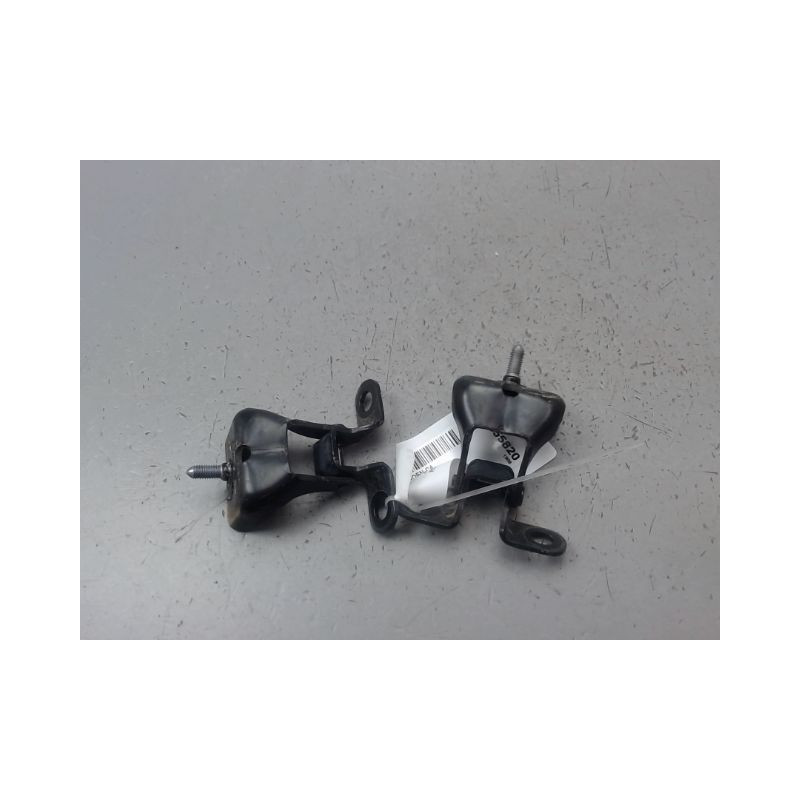 JEU CHARNIERES HAYON CITROEN C4 PICASSO
