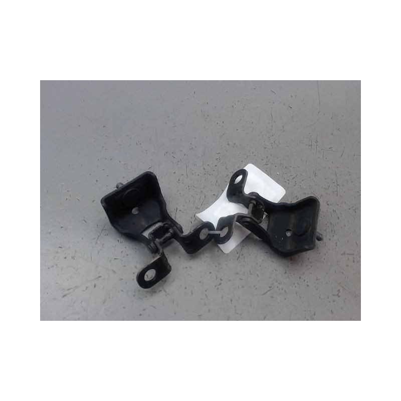 JEU CHARNIERES HAYON CITROEN C4 PICASSO
