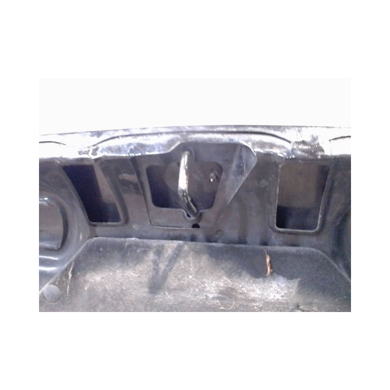 CAPOT RENAULT TWINGO PH.3 2000-2007