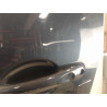 PORTE AVANT GAUCHE RENAULT CLIO