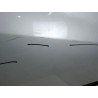 PORTE AVANT DROIT RENAULT CLIO