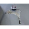 AILE AVANT DROIT CITROEN C3 2009-