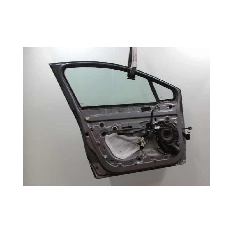 PORTE AVANT GAUCHE RENAULT CLIO IV Phase 1 2012-...