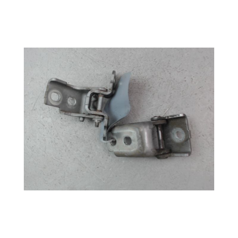 CHARNIÈRE PORTE AVG RENAULT CLIO IV Phase 1 2012-...