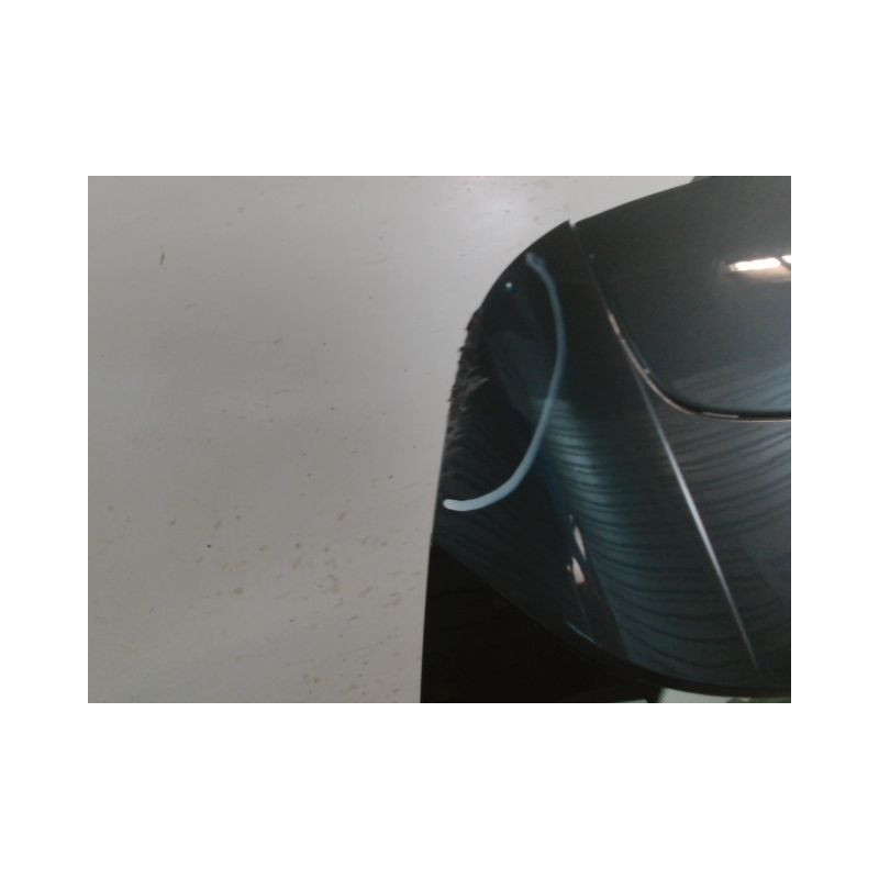 HAYON RENAULT CLIO