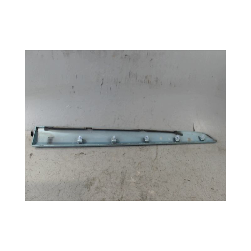 PROTECTION PORTE ARRIERE GAUCHE RENAULT KANGOO