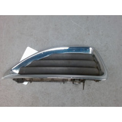 GRILLE CAPOT G