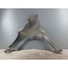 AILE AVANT DROIT PEUGEOT 207 SW