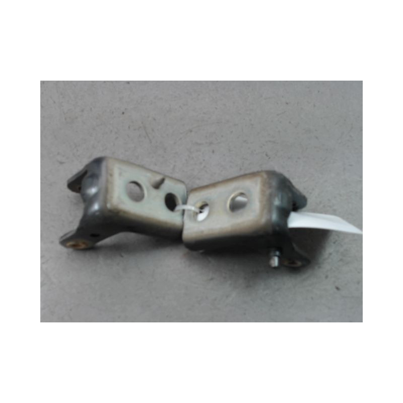 CHARNIÈRE PORTE ARD CITROEN GRAND C4 PICASSO 2006-
