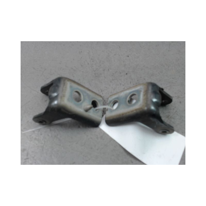 CHARNIÈRE PORTE ARG CITROEN GRAND C4 PICASSO 2006-