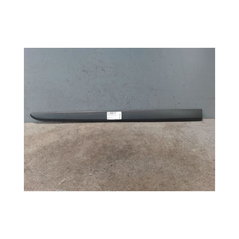 PROTECTION PORTE AVANT GAUCHE RENAULT MODUS LONGUE 2008-
