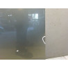 PORTE AVANT GAUCHE NISSAN MURANO