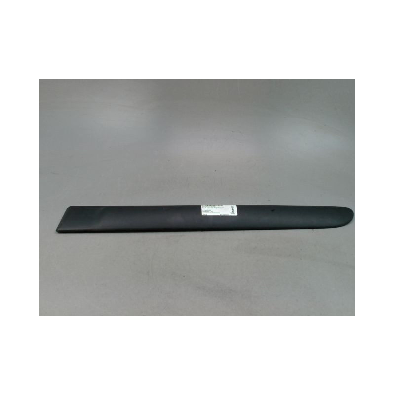 PROTECTION PORTE ARRIERE GAUCHE RENAULT CLIO II Phase 2 2001-2006