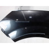 AILE AVANT GAUCHE RENAULT SCENIC II PH2 2006-