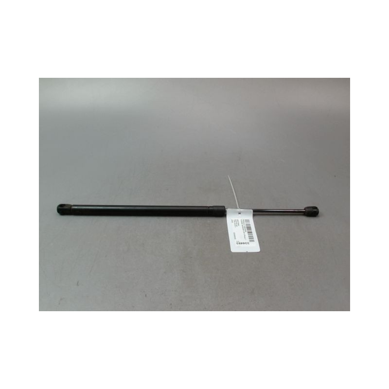VERIN HAYON G RENAULT SCENIC MONOSP. II Phase 1 2003-2006