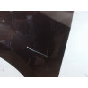 AILE AVANT GAUCHE RENAULT MODUS 2008-