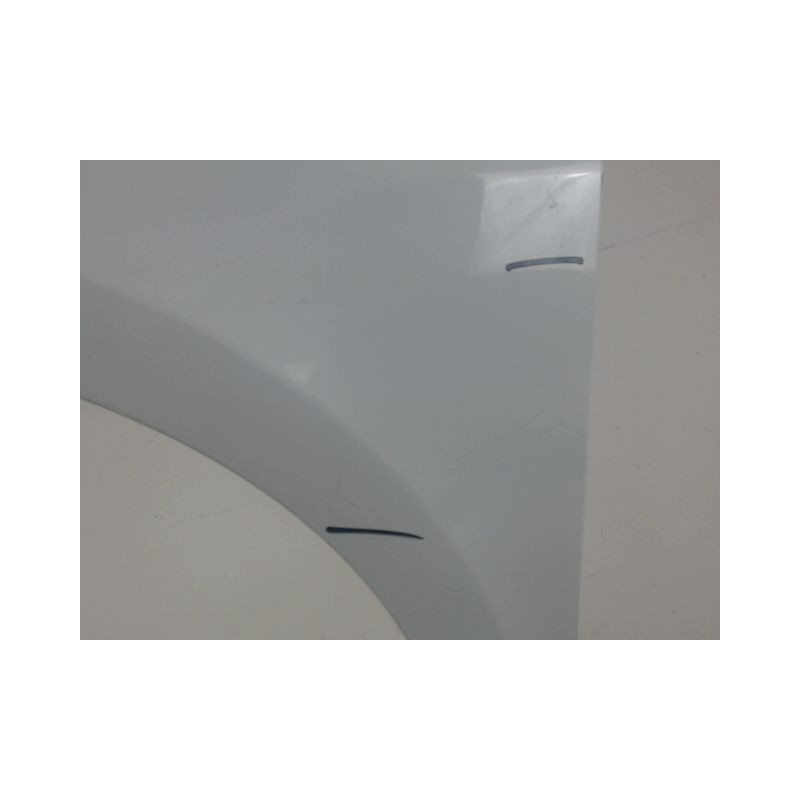 AILE AVANT GAUCHE RENAULT CLIO III 2007-