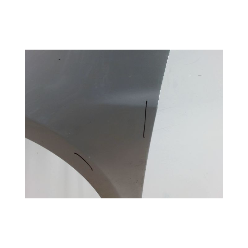 AILE AVANT GAUCHE RENAULT CLIO III 2009-