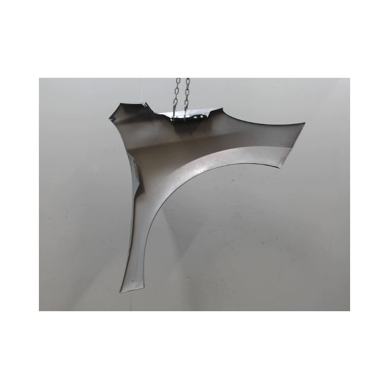 AILE AVANT GAUCHE PEUGEOT 207 2006-2013