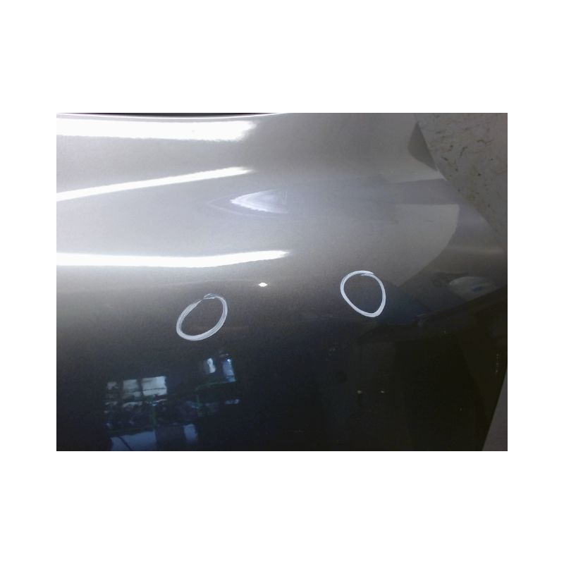 PORTE ARRIERE GAUCHE RENAULT CLIO