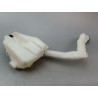 RESERVOIR LAVE-GLACE AVANT CITROEN C3 I Phase 2 2005-2010