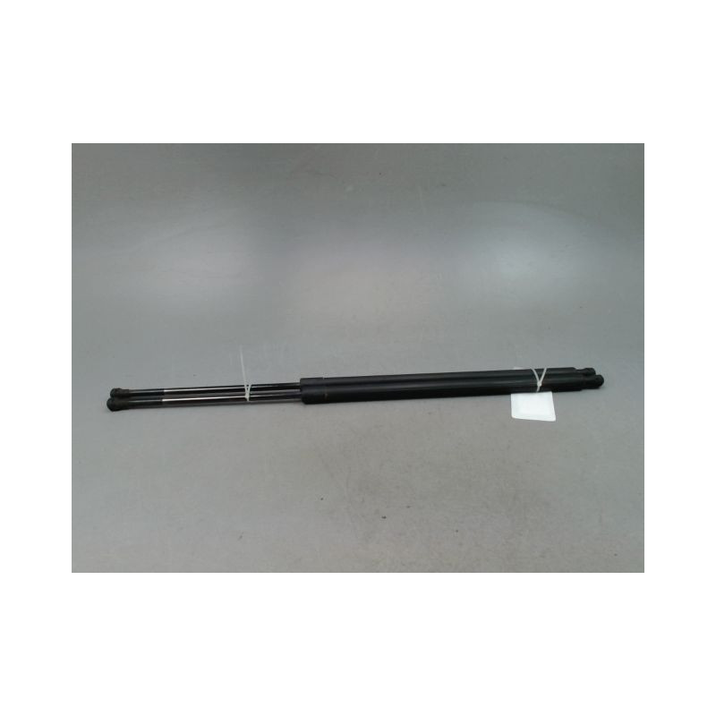 VERIN HAYON G RENAULT GRAND SCENIC MONOSP. III Phase 2 LONG 2011-2013