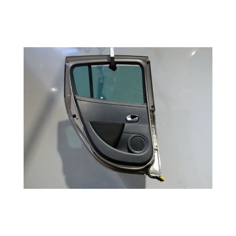 PORTE ARRIERE GAUCHE RENAULT CLIO III 2010-