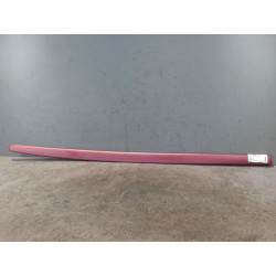 PROTECTION PORTE AVG