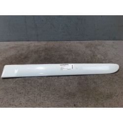 PROTECTION PORTE ARG