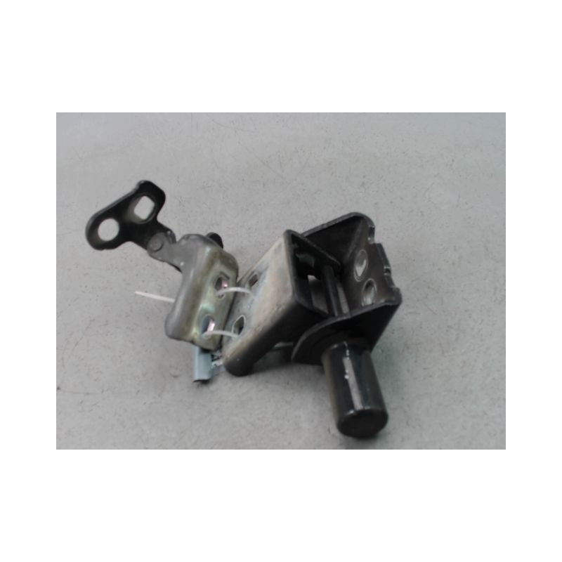 CHARNIÈRE PORTE AVG RENAULT CLIO III Phase 1 2005-2009