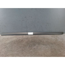 PROTECTION PORTE AVD