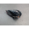 FEU DE PARE-CHOC ARRIERE GAUCHE RENAULT MEGANE
